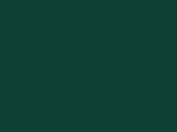 SMALTO POLIURETANICO BICOMPONENTE VERDE  (RAL 6005) - 750 ml -